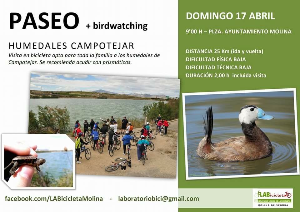 Paseo en bici + Birdwatching por el Humedal de Campotéjar con LABicicleta Molina.