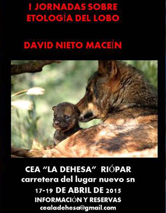 Etología del lobo - Cartel Etología del lobo - Cartel