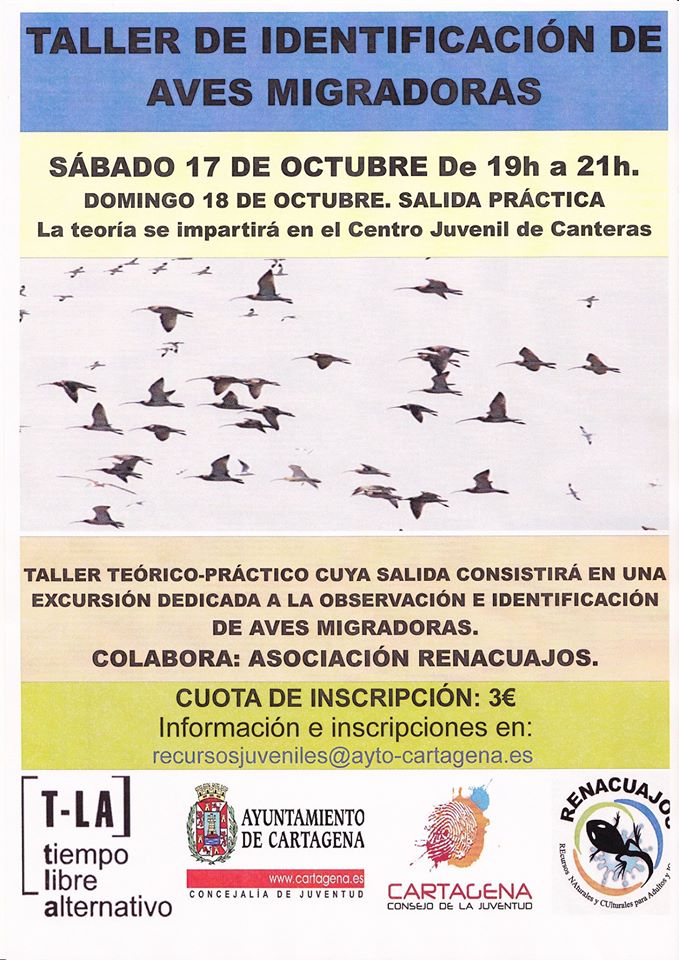 Taller de aves migradoras con el Ayto. de Cartagena