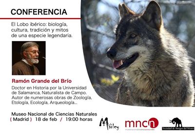 Conferencia sobre el lobo ibérico en el Museo Nacional de Ciencias Naturales de Madrid