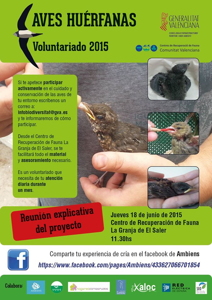 Voluntariado de aves huérfanas del Centro de Recuperación de Fauna de El Saler (Valencia) 