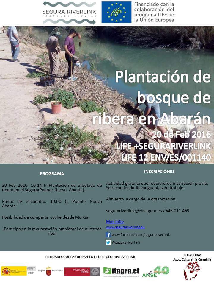 Plantación de un bosque de ribera en Abarán con el LIFE Riverlink.