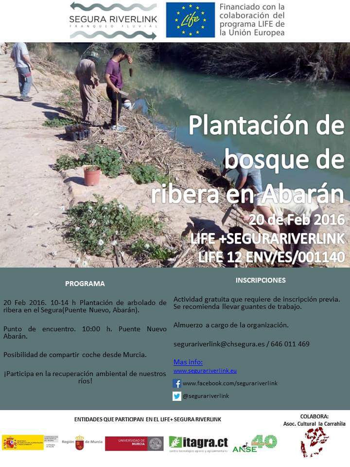 Plantación de un bosque de ribera en Abarán con el LIFE Riverlink. Plantación de un bosque de ribera en Abarán con el LIFE Riverlink.