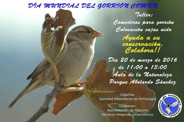 Día Mundial del Gorrión Común con la Sociedad Albacetense de Ornitología