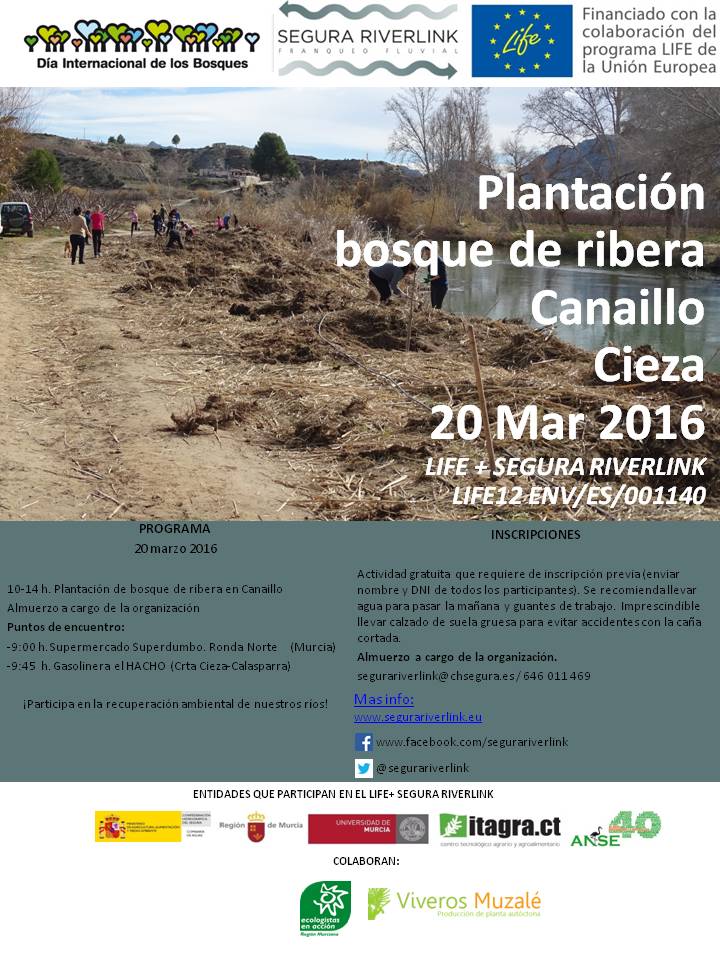 Plantación de Bosque de Ribera con el Life Segura Riverlink