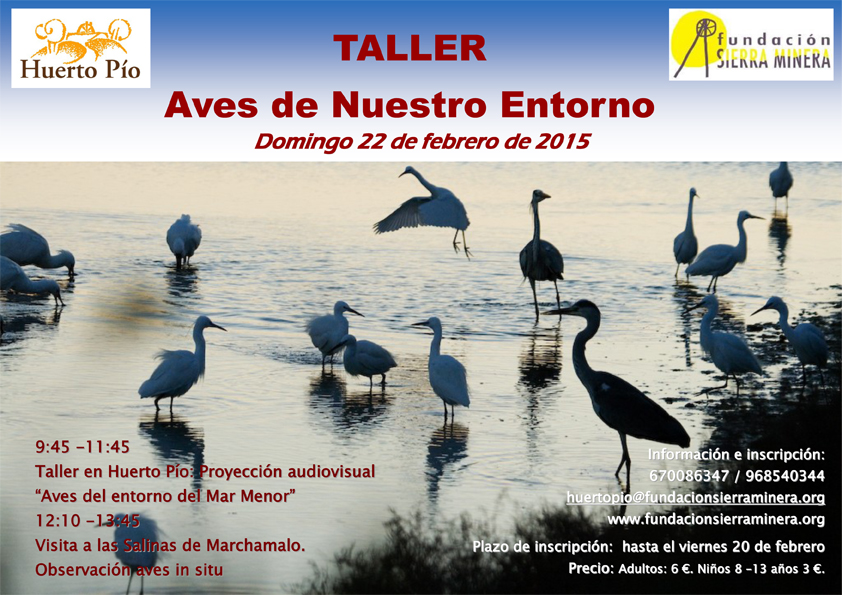 Taller: Aves de nuestro entorno en Huerto Pío