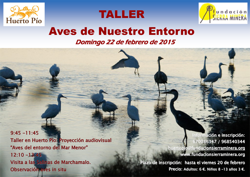 Taller: Aves de nuestro entorno en Huerto Pío Taller: Aves de nuestro entorno en Huerto Pío