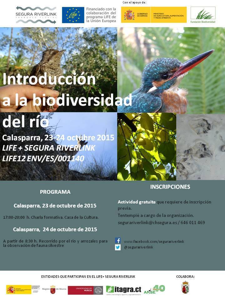 Introducción a la biodiversidad en el río con ANSE