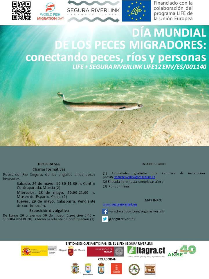 Día Mundial de los Peces Migradores, Riverlink, cartel