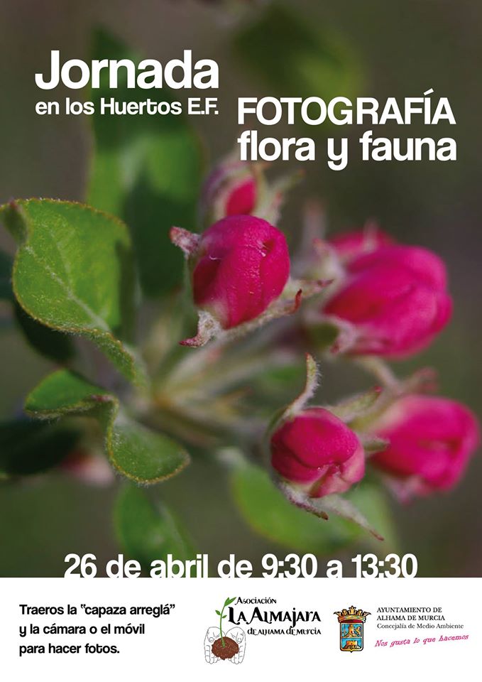 Fotografía de flora y fauna. Cartel