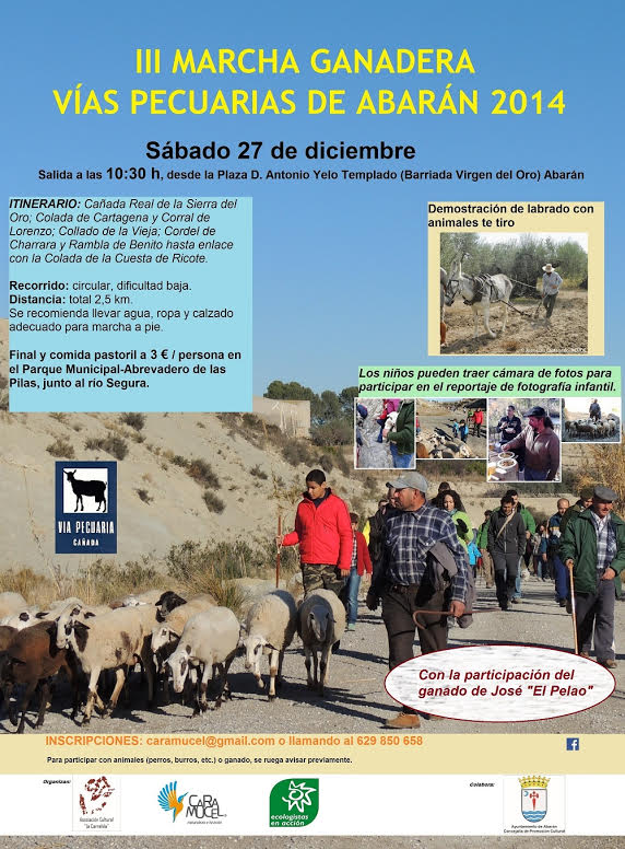 Marcha ganadera en Abarán Marcha ganadera en Abarán
