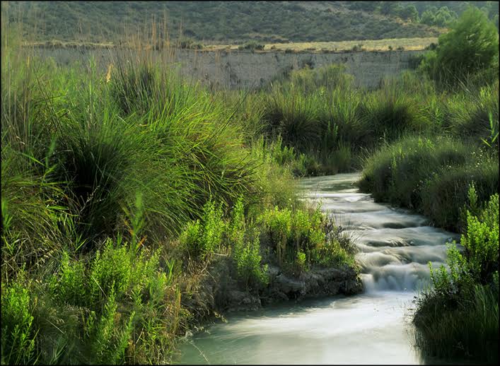 Ruta Interpretada al Cañón del Río Luchena con el Ayto. de Lorca.