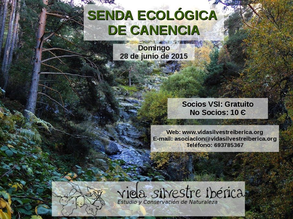 Senda ecológica de Canencia con Vida Silvestre Ibérica