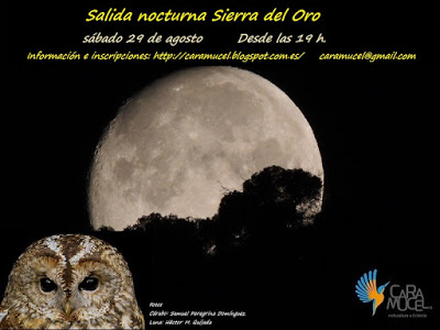 Salida nocturna Sierra del Oro con Caramucel