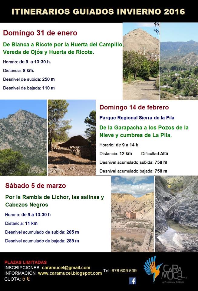 Rambla de Lichor, las salinas y Cabezos Negros con Caramucel, Naturaleza e Historia. Rambla de Lichor, las salinas y Cabezos Negros con Caramucel, Naturaleza e Historia.