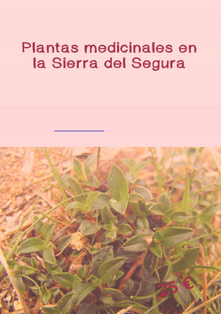 Plantas medicinales en la Sierra del Segura con Rockrose Ecoturismo Plantas medicinales en la Sierra del Segura con Rockrose Ecoturismo