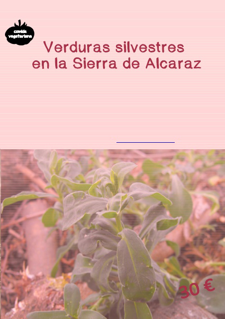 Verduras silvestres en la Sierra de Alcaraz con Rockrose Ecoturismo