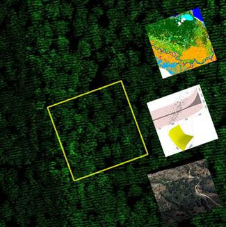 III Edición Curso QGis y LIDAR en la evaluación de ecosistemas forestales con Agresta.