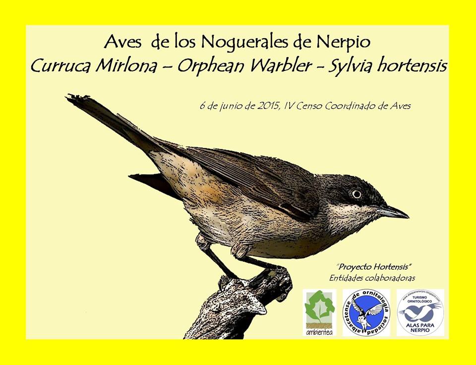 Censo  de Aves en Nerpio