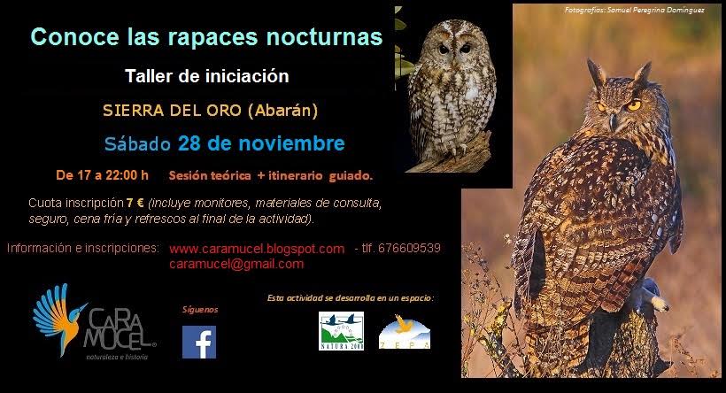 Iniciación sobre rapaces nocturnas con Caramucel Iniciación sobre rapaces nocturnas con Caramucel