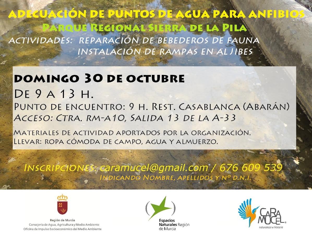 Adecuación de bebederos para anfibios, con Caramucel. Adecuación de bebederos para anfibios, con Caramucel.