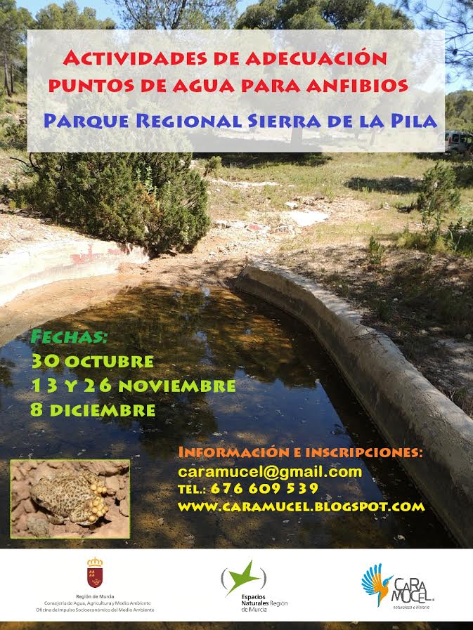 Programa de las actividades de conservación de anfibios de este otoño, de Caramucel.