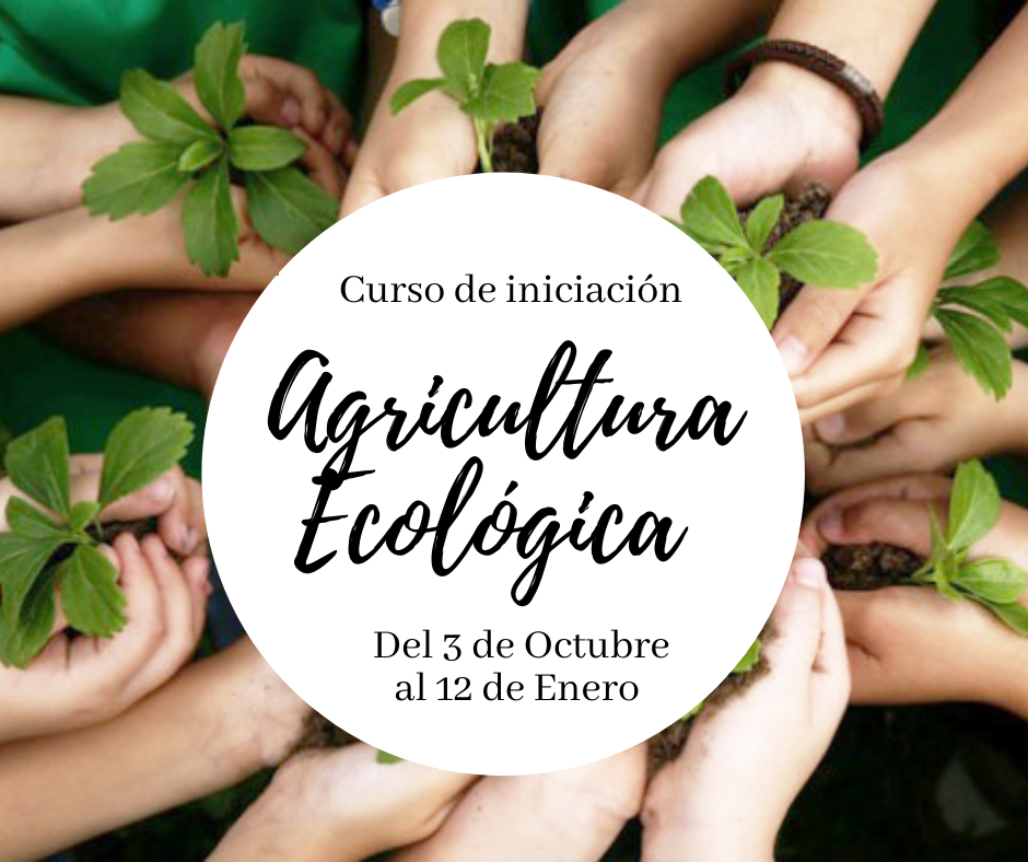 Curso de Iniciación de la Agricultura Ecológica, con la UMH