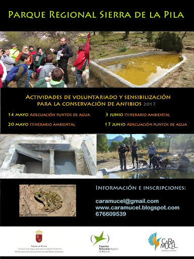 Programa de actividades para la conservación de anfibios en el PR Sierra de la Pila, con Caramucel