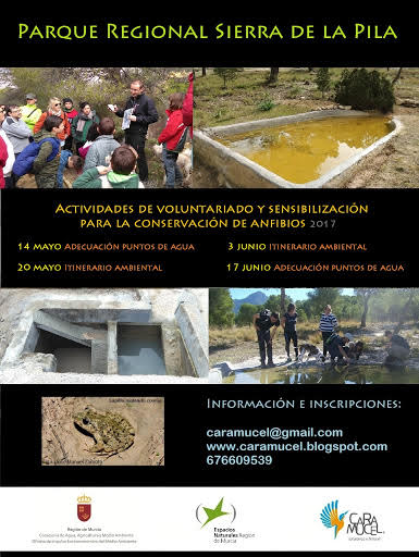 Programa de actividades para la conservación de anfibios en el PR Sierra de la Pila, con Caramucel. Programa de actividades para la conservación de anfibios en el PR Sierra de la Pila, con Caramucel