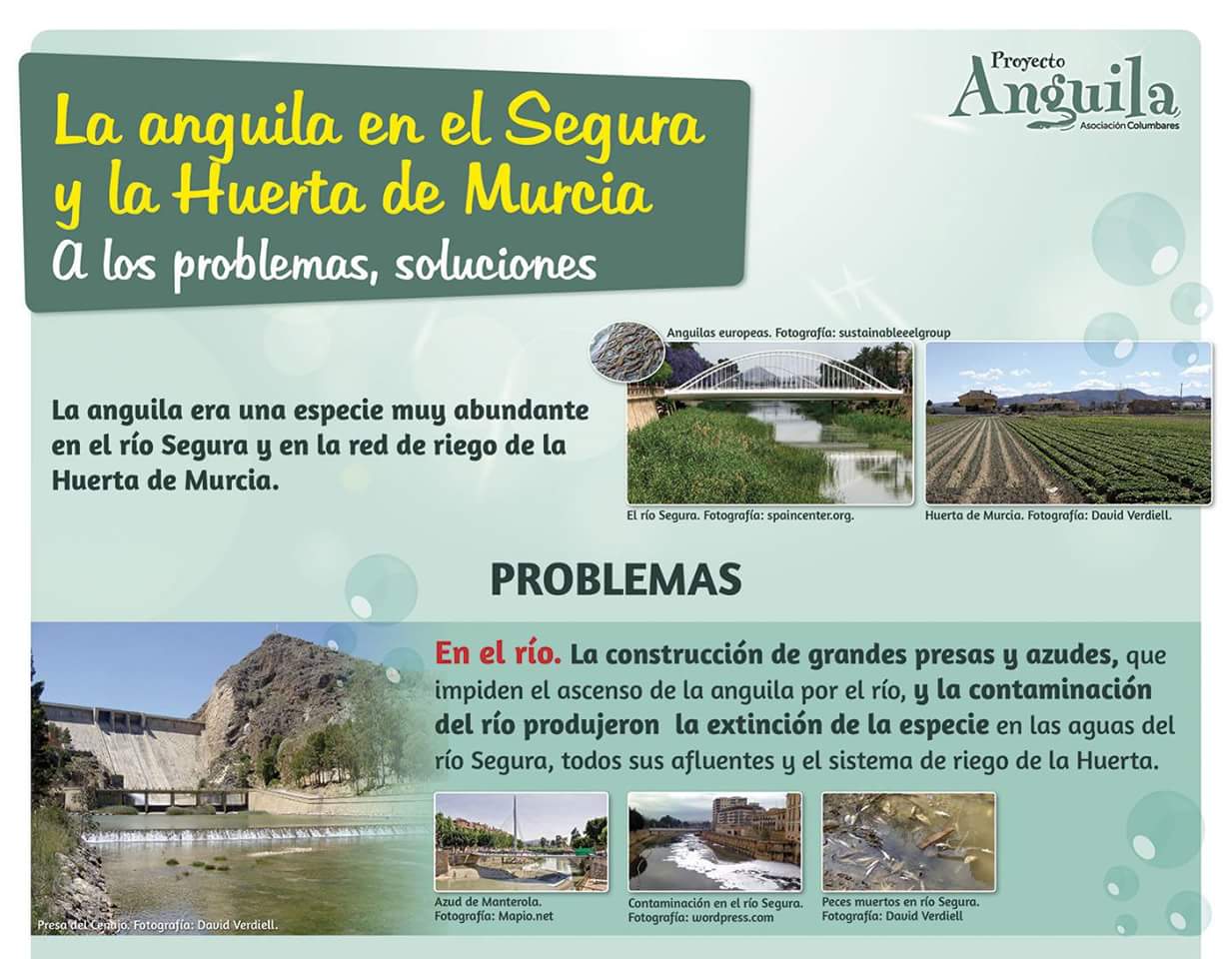 Otro panel de la exposición sobre el Proyecto Anguila