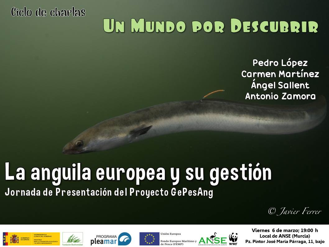 Charla sobre la anguila europea y su gestión, con ANSE