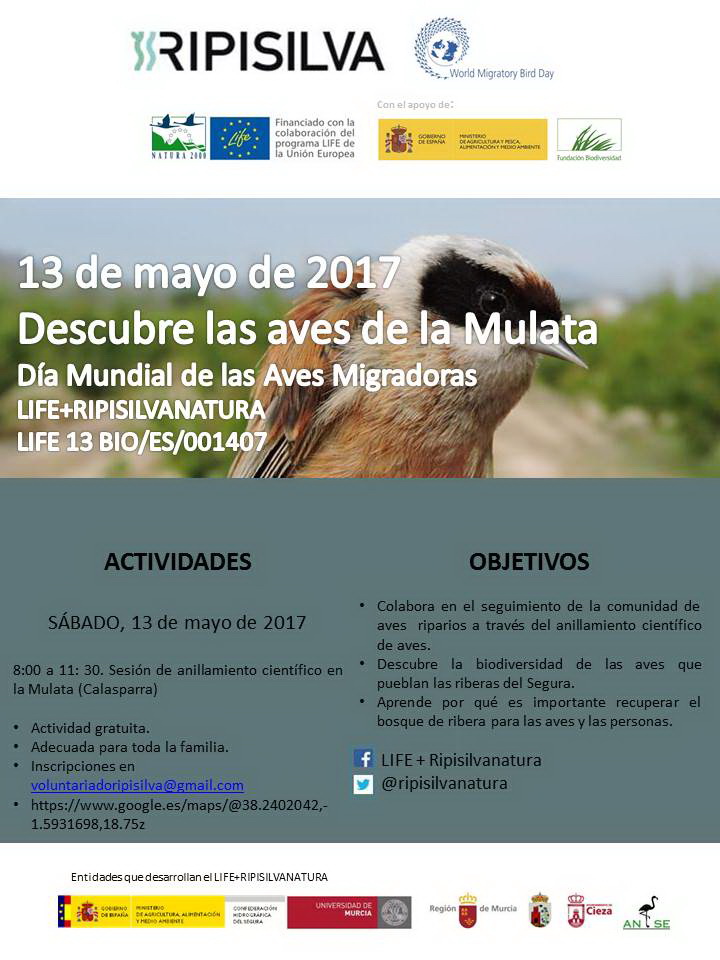 Anillamiento por el Día Mundial de las Aves Migratorias , con LIFE Ripisilvanatura