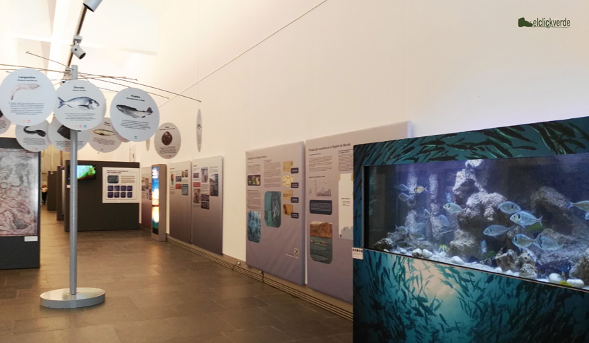 Exposición sobre acuicultura en el Museo Nacional de Arqueología Subacuática
