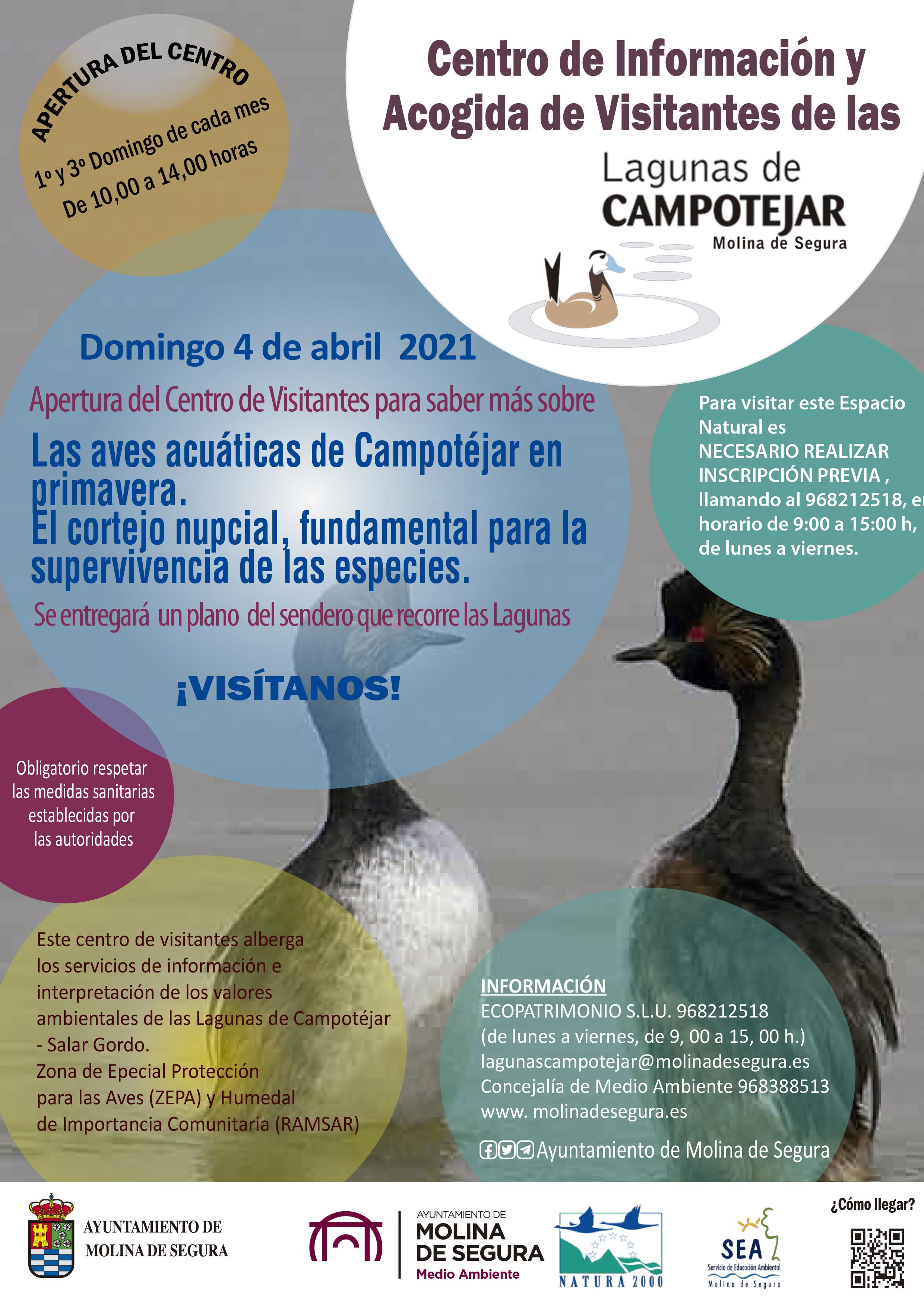 El cortejo de las aves acuáticas en Campotéjar