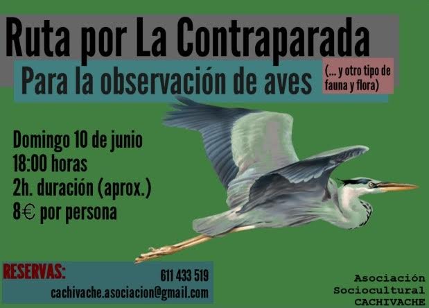 Observación de aves en La Contraparada, con Cachivache