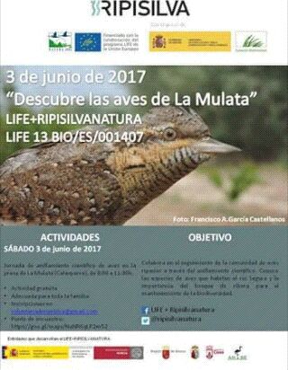 'Descubre las aves de La Mulata', con LIFE Ripisilvanatura