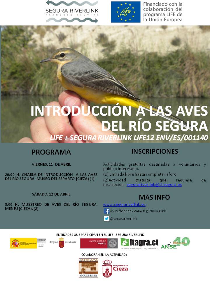 Las aves del Segura con el LIFE+ Segura Riverlink