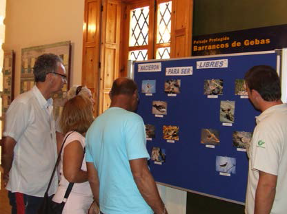Exposición 'Aves urbanas' en el Centro de Visitantes y Gestión Ricardo Codorníu (PR Sierra Espuña)