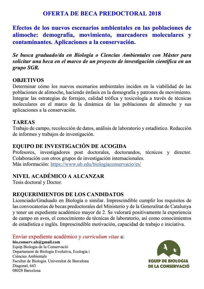 Beca predoctoral sobre el alimoche, con la Universidad de Barcelona. Beca predoctoral sobre el alimoche, con la Universidad de Barcelona