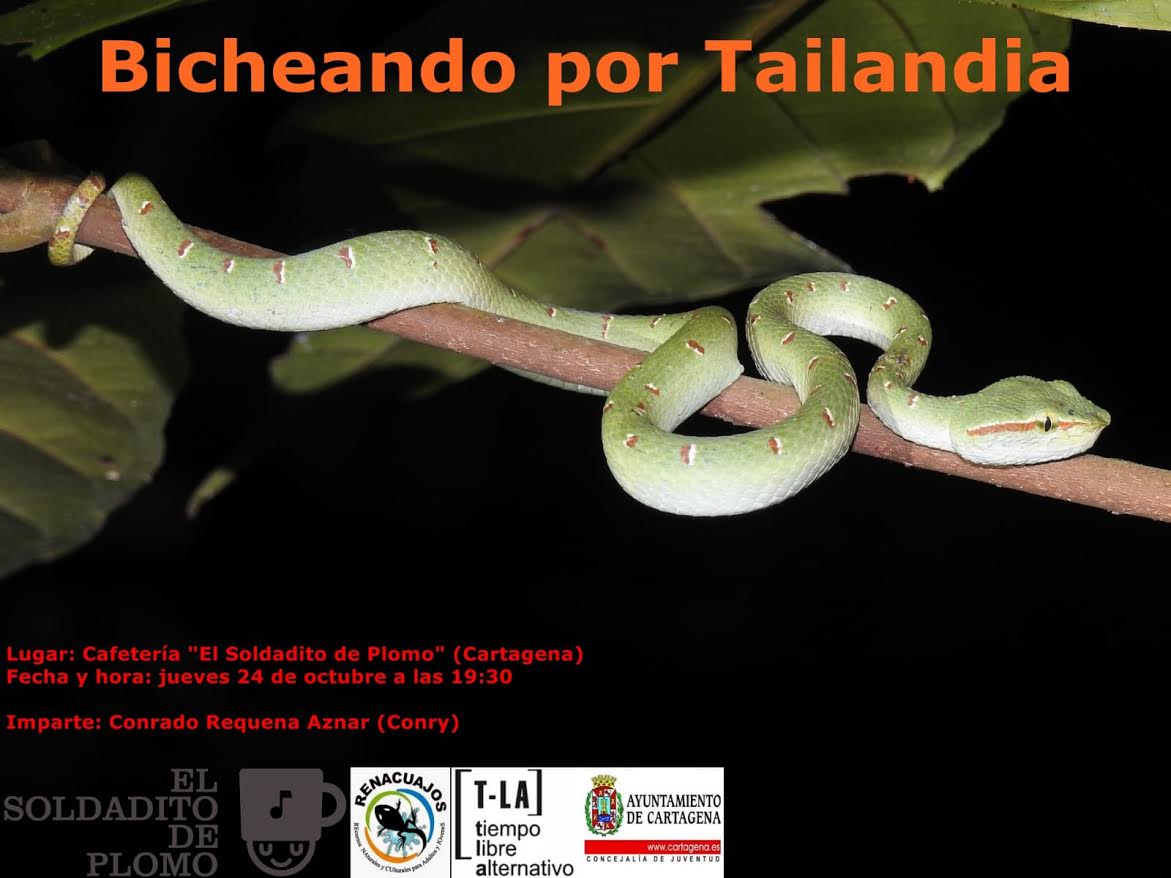 Charla 'Bicheando por Tailandia', con El Soldadito de Plomo. Charla 'Bicheando por Tailandia', con El Soldadito de Plomo
