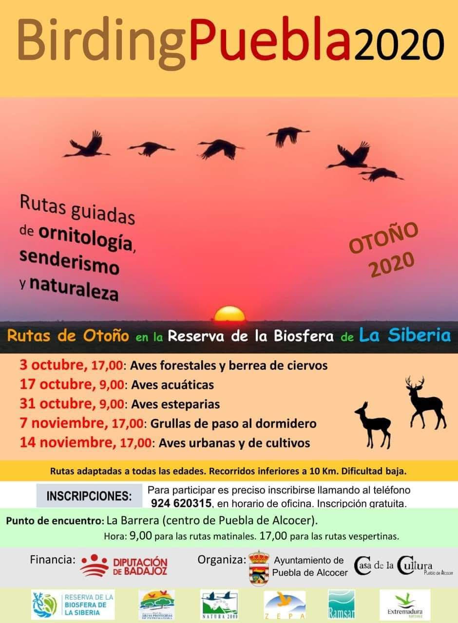 Aves forestales y berrea de ciervos, con el Ayto. de La Puebla de Alcocer