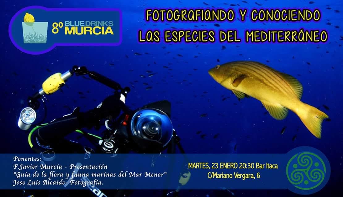 Charla sobre peces y fotografía, con Blue Drinks Murcia