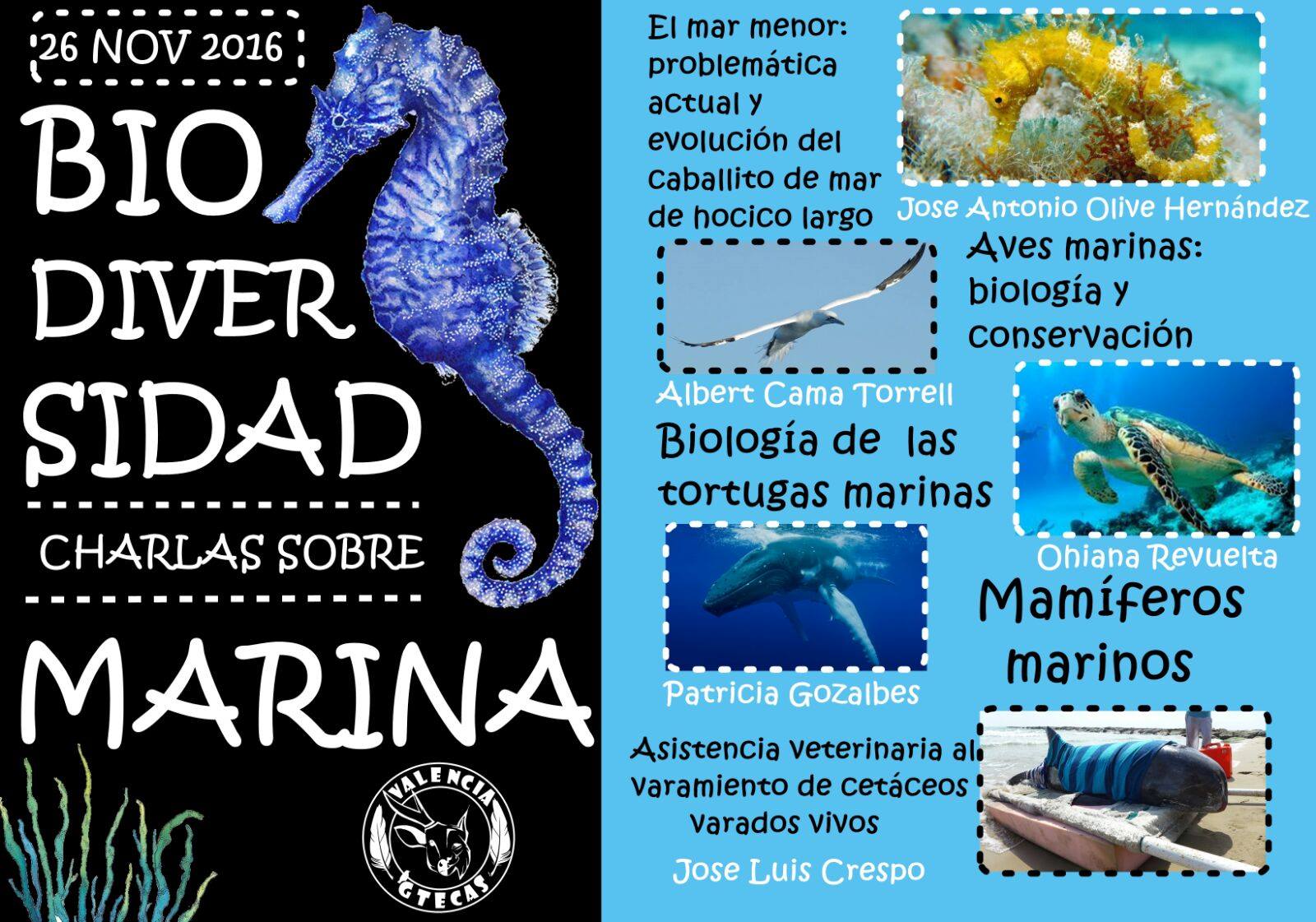 Curso sobre biodiversidad marina, con GTECAS . Curso sobre biodiversidad marina, con GTECAS
