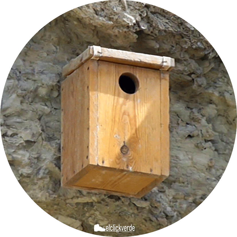 Colocación de cajas nido para aves, con EeA