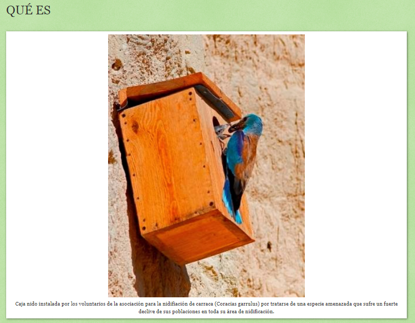 Aspecto de la web Arramblando por la Carraca, con una imagen de una carraca y una caja nido, de Julián Rico