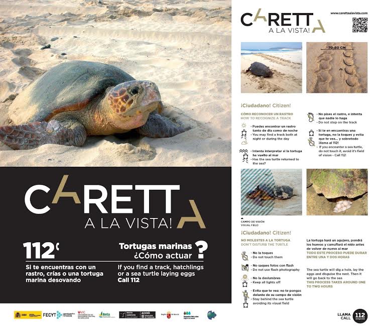 Caretta a la vista. Cartel informativo. Caretta a la vista. Cartel informativo