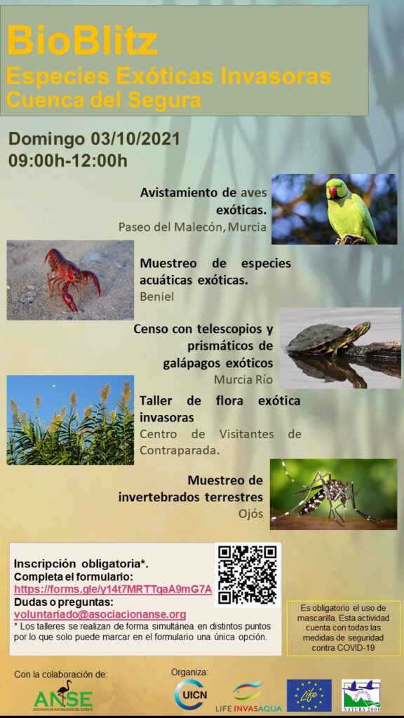 BioBlitz Especies Exóticas Invasoras Cuenca del Segura