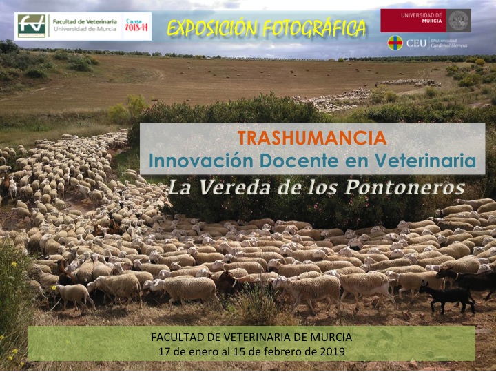 Cartel de la expo de fotos 'La Vereda de los Pontoneros', con la UMU