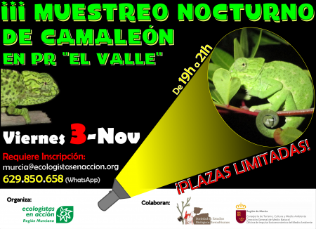 III Muestreo de camaleón en El Valle, con Ecologistas en Acción de la Región Murciana