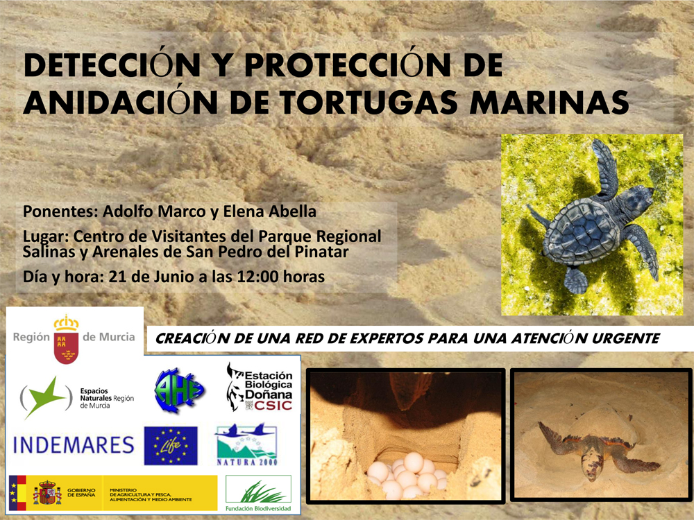 Jornada técnica para la detección, atención urgente y protección de tortugas marinas, con la CARM. Jornada técnica para la detección, atención urgente y protección de tortugas marinas, con la CARM